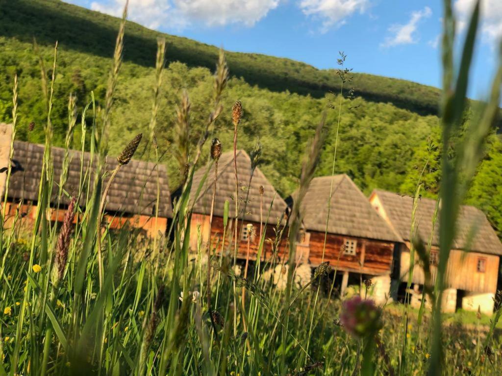 Apartman Danijela Otočac Dış mekan fotoğraf