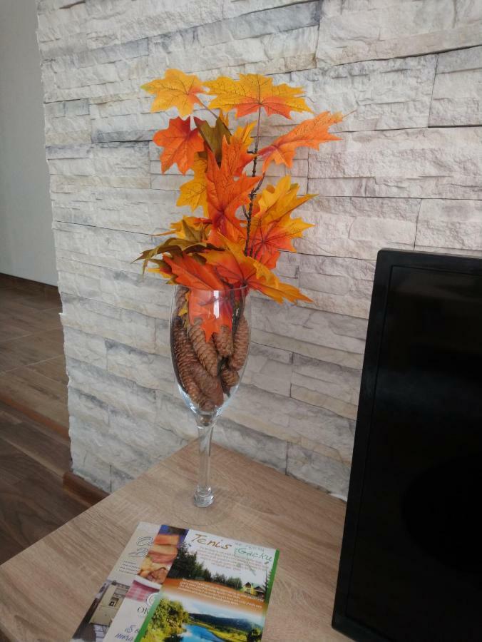 Apartman Danijela Otočac Dış mekan fotoğraf